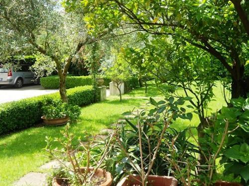Villa Scimmia Scauri  Buitenkant foto